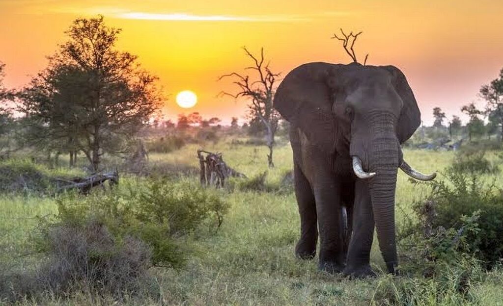 viagem áfrica austral
