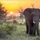 viagem áfrica austral