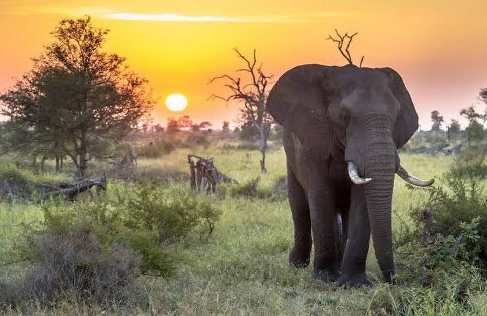 viagem áfrica austral