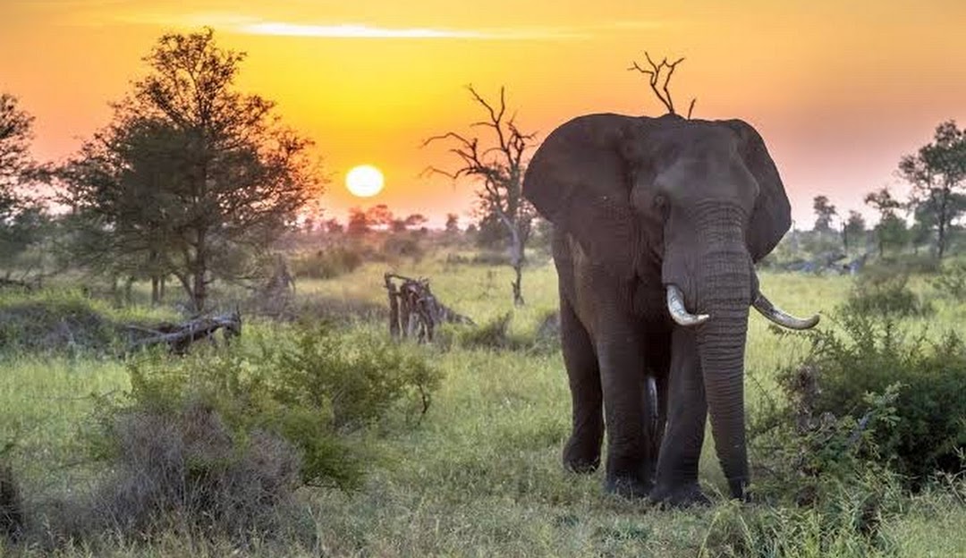 viagem áfrica austral